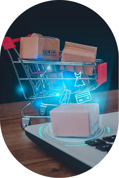 E-Commerce Platforms