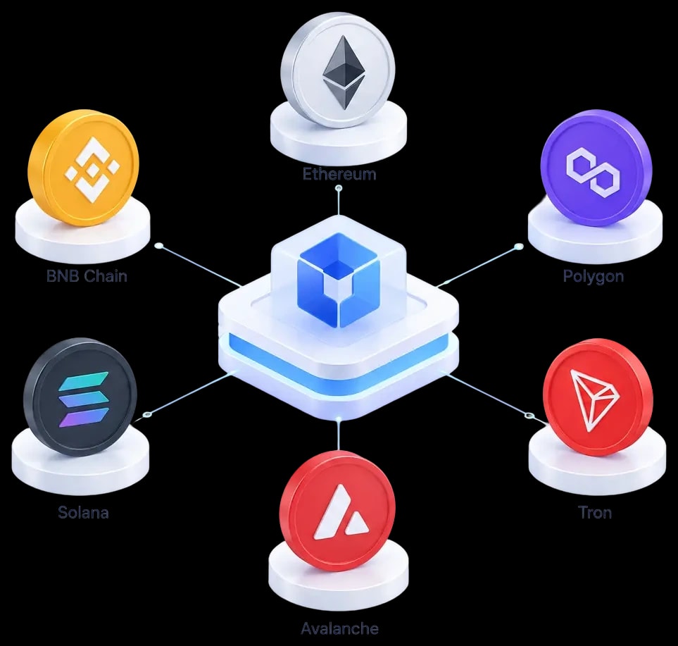 Blockchain Networks We Support for DEX Development