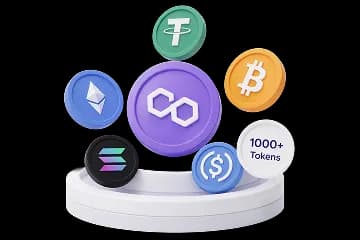 Multi-currency wallet system